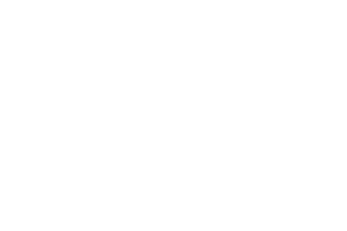 Zinda logo